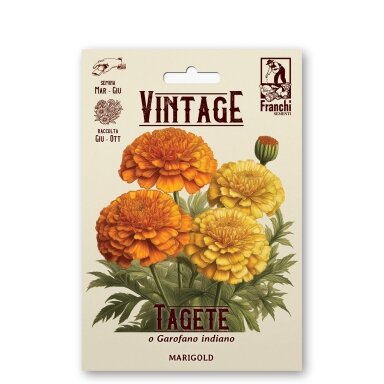 Serenčiai didieji MARIGOLD Serenčiai didieji MARIGOLD