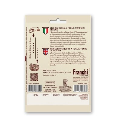 Salotinės trūkažolės (Cikorijos) ROSSA DI VERONA A PALLA
