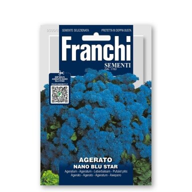 Meksikinis žydrūnis NANO BLU STAR Meksikinis žydrūnis NANO BLU STAR
