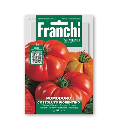 Pomidorai valgomieji 'COSTOLUTO FIORENTINO'