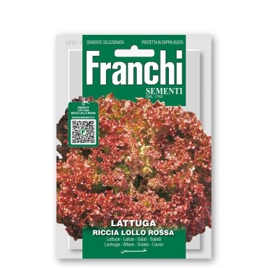 Salotos sėjamosios RICCIA LOLLO ROSSA
