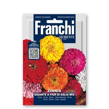 Common zinnia GIGANTE FIOR DI DALIA